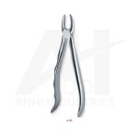 Upper incisors and canines<br> (AI-5300-02)
