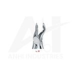 Upper premolars<br> (AI-5300-31)