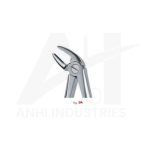 Lower incisors and premolars<br> (AI-5310-04)