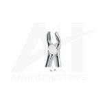 Upper molars right<br> (AI-5310-17)