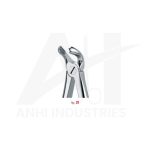 Lower molars<br> (AI-5310-21)