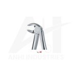 Lower molars<br> (AI-5310-22)
