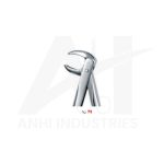 Lower molars<br> (AI-5310-73)