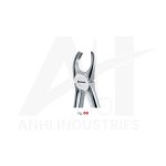 Upper molars righ<br> (AI-5310-89)