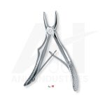 Upper incisors<br> (AI-5315-01)