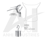 Scherbak Wieght For Vaginal Specula, 800Gram, 13cm (AI-205R-315)