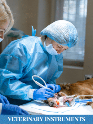 Surgical Instruments (12)