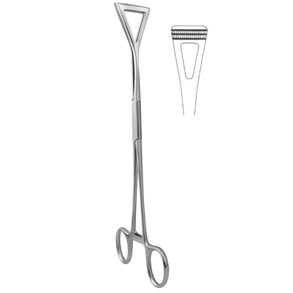 Scheibe Atrauma Organ Grasping Forceps 18Cm, Narrow