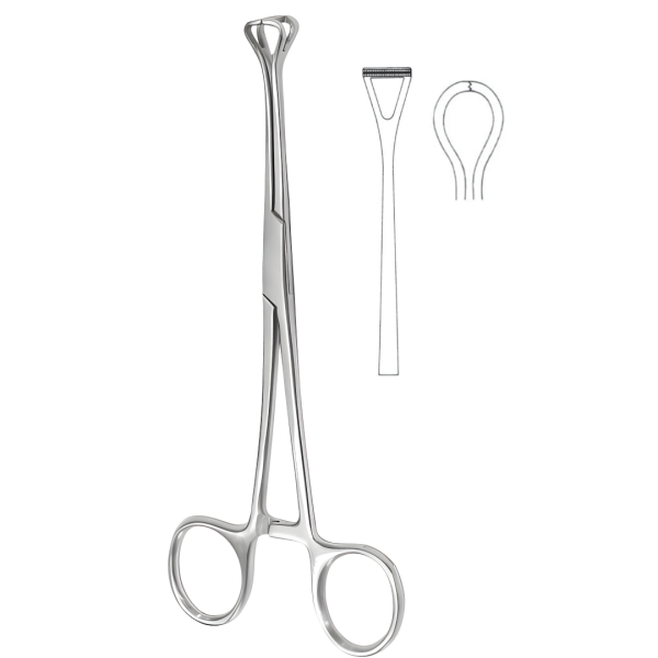 Babcock Atrauma Forceps 20.5cm