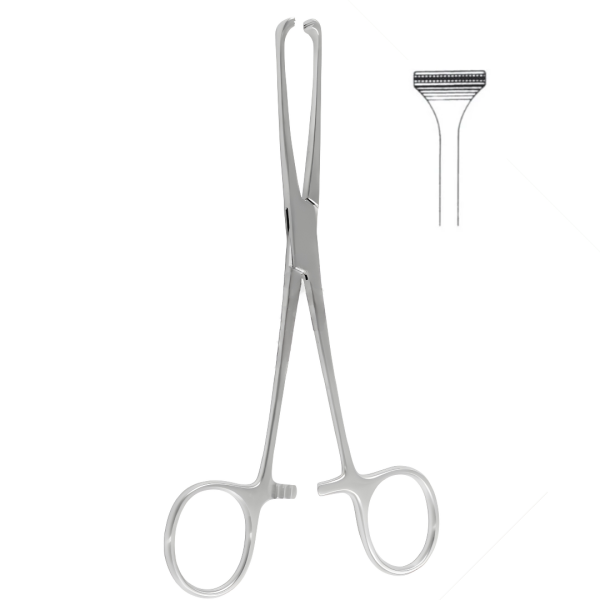 Allis Atrauma Tissue Forceps 30cm