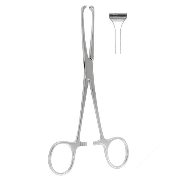 Allis Atrauma Tissue Forceps 15.5cm