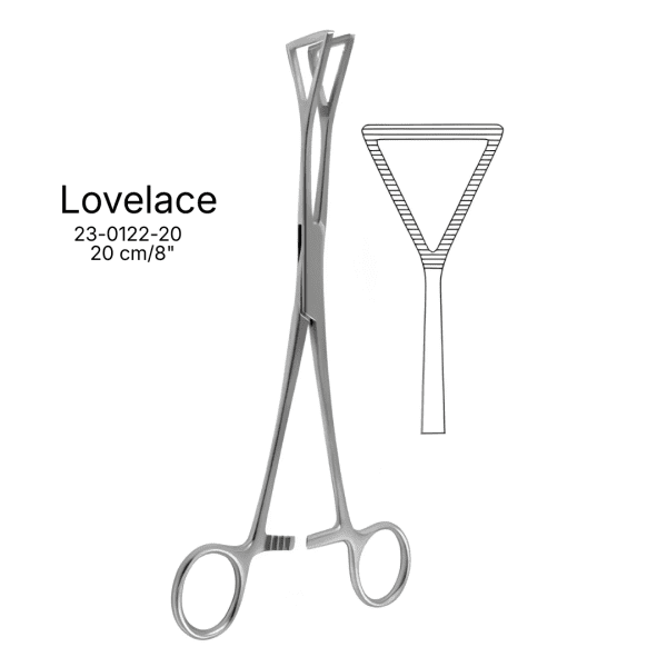 Lovelace 20 cm/8"