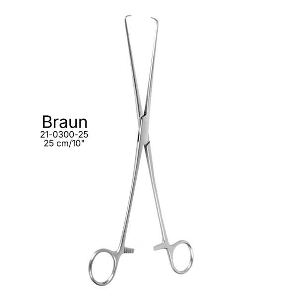 Braun 25 cm/10" (AI-205R-289)