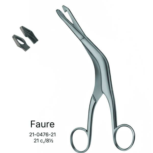 Faure 21 c,/8½ (AI-205R-326)