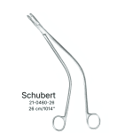 Schubert (AI-205R-336)