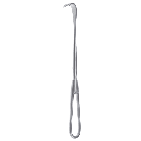 Oldberg 21 cm/8 (AI-k22-271)