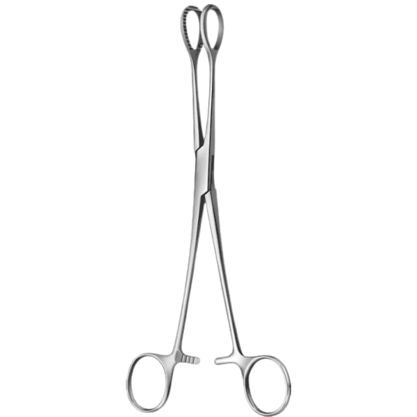 heywood-smith 21 cm ( AI-SI2-253 )