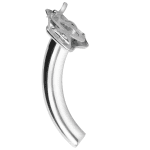 Length of outer tube Luer (AI-TT5-208)