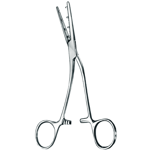 Mastin 17cm/6 (AI-GT2-206)