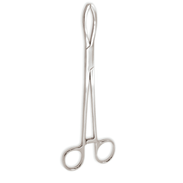 intestine tissue Forcep Littlewood 18.5 cm (AI-SI2-202)