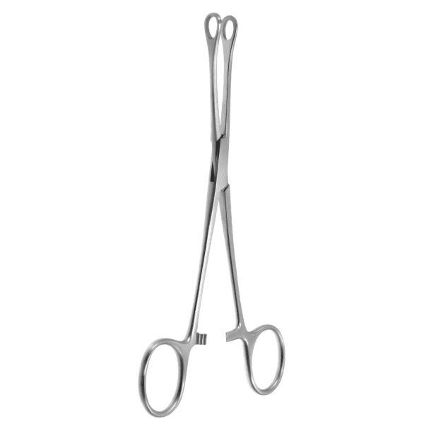 intestine tissue Forcep Williams 16 cm (AI-SI2-203)