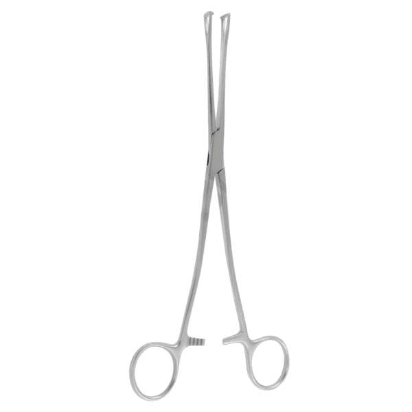 intestine tissue Forcep Lockwood 20 cm (AI-SI2-204)