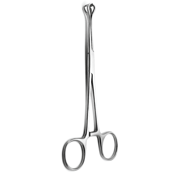 intestine tissue Forcep bobcock-Standard (AI-SI2-206)