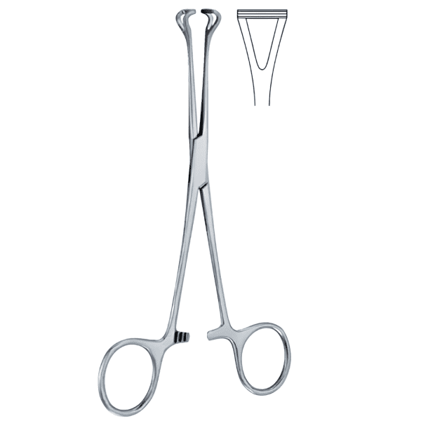 intestine tissue Forcep bobcock (AI-SI2-208)