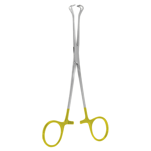 intestine tissue Forcep duval(AI-SI2-209)