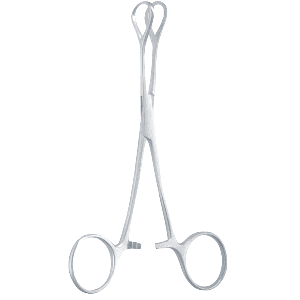 intestine tissue Forcep coeur (AI-SI2-213)