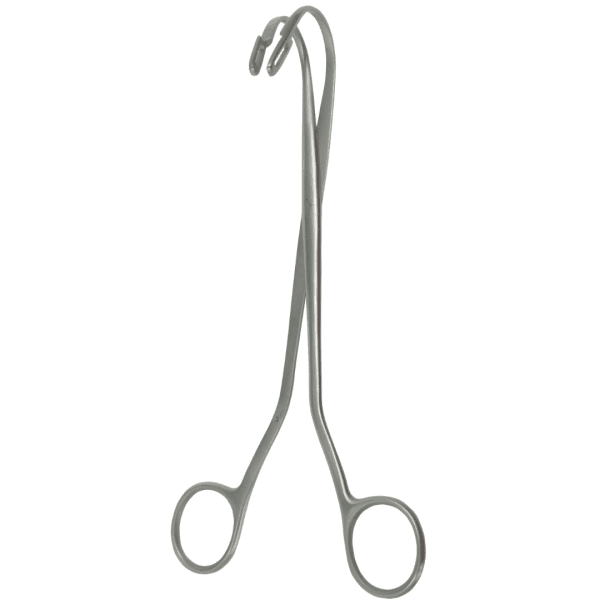 Randall kidney stpne feps (AI-UR-006)