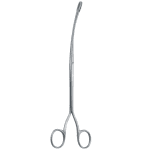 Randall kidney stpne feps (AI-UR-007)