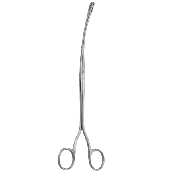 Randall kidney stpne feps (AI-UR-007)