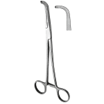 Gray gall duct forceps (AI-UR-009)